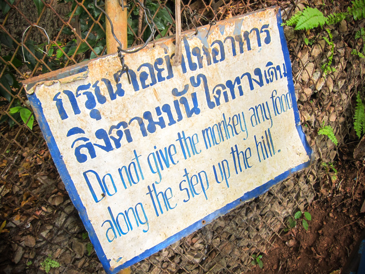 Don't feed the monkeys