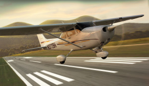Fly