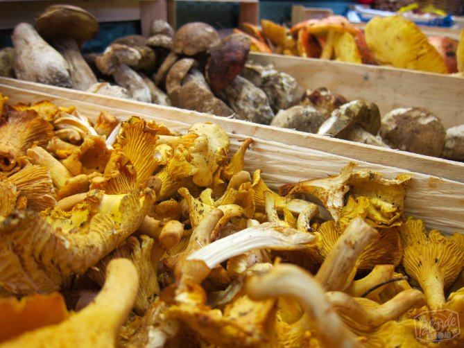 Exploring La Boqueria on the Context Tour "Farm to Fork" guided tour