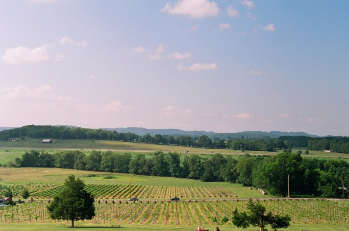 Tennessee Winery