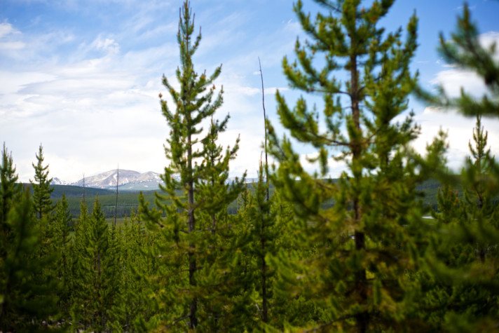Yellowstone