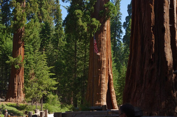 Sequoia National Park