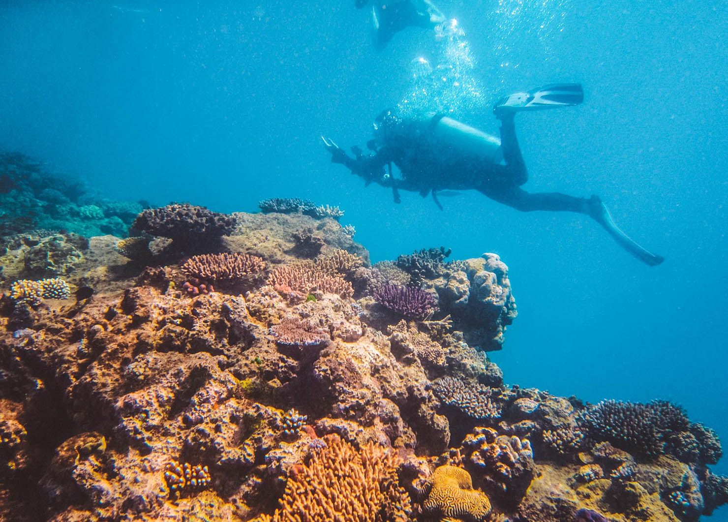 great barrier reef scuba