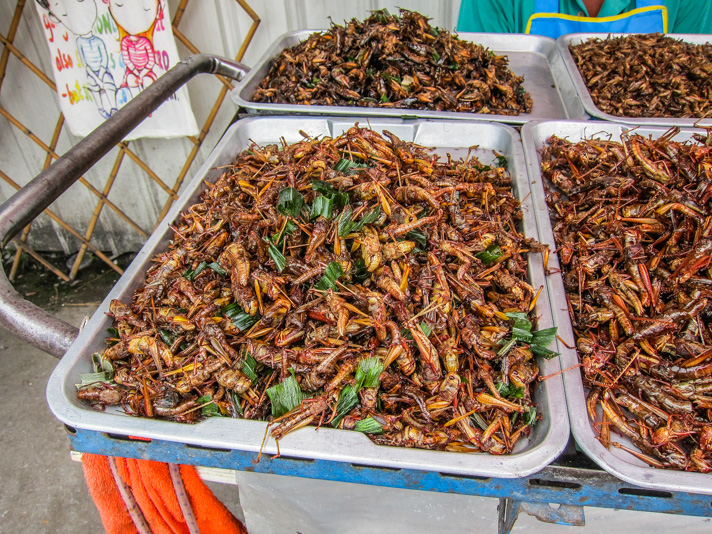 Visiting the Chatuchak Weekend Market in Bangkok • The Blonde Abroad