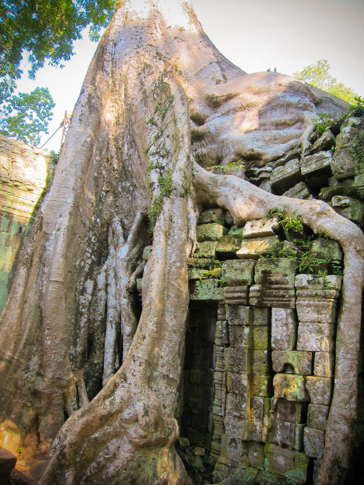 Ta Prohm