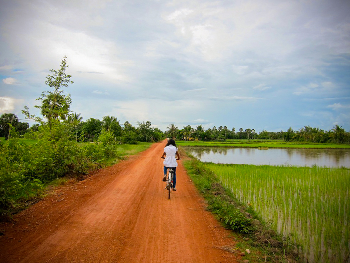 Girl riding bike through rice fields