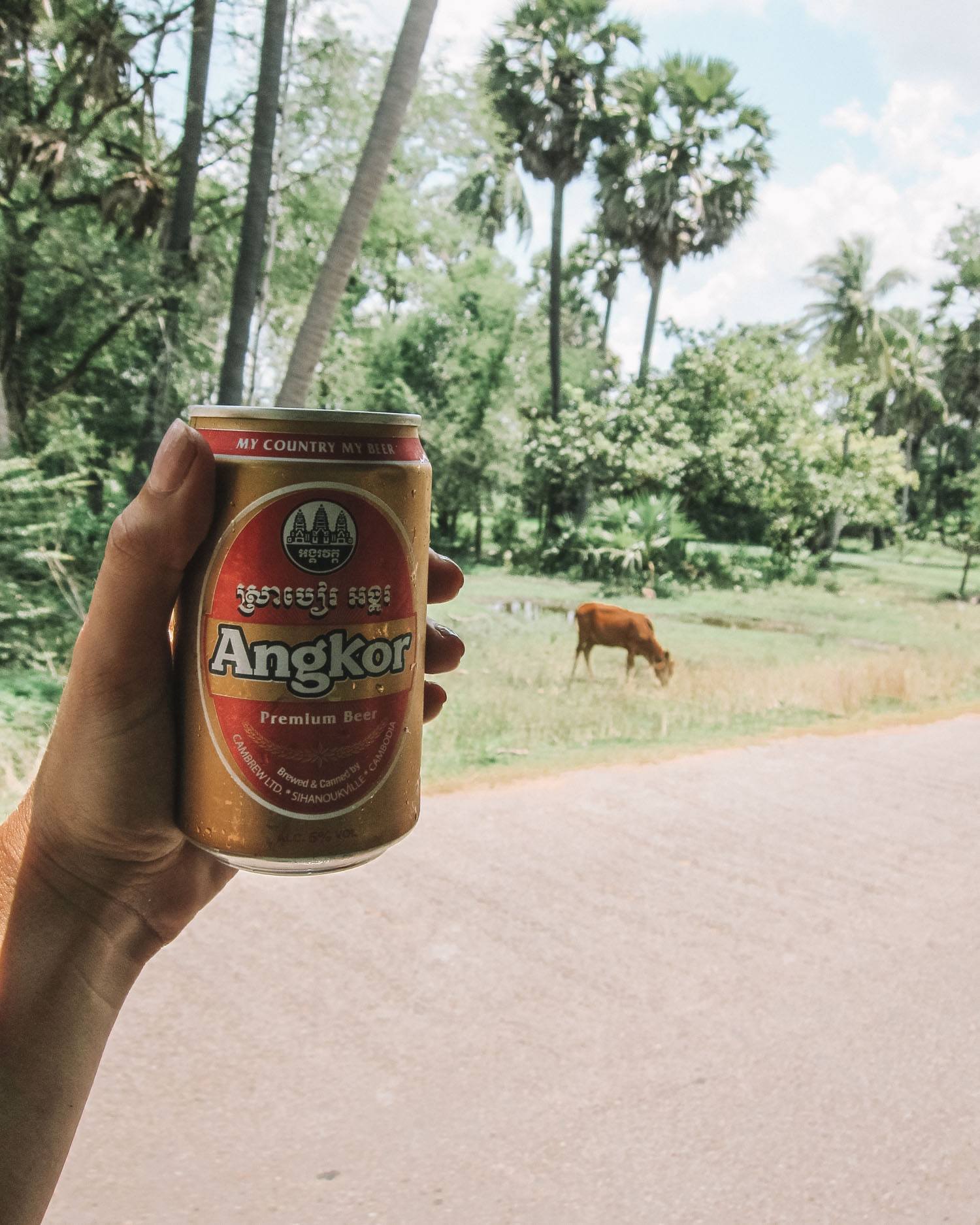 angkor beer in cambodia