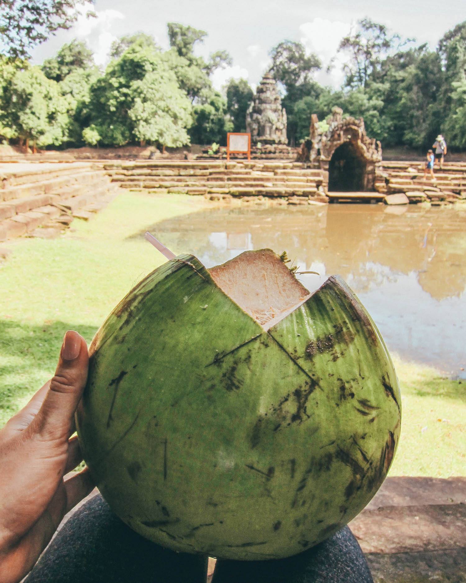 coconut in cambodia