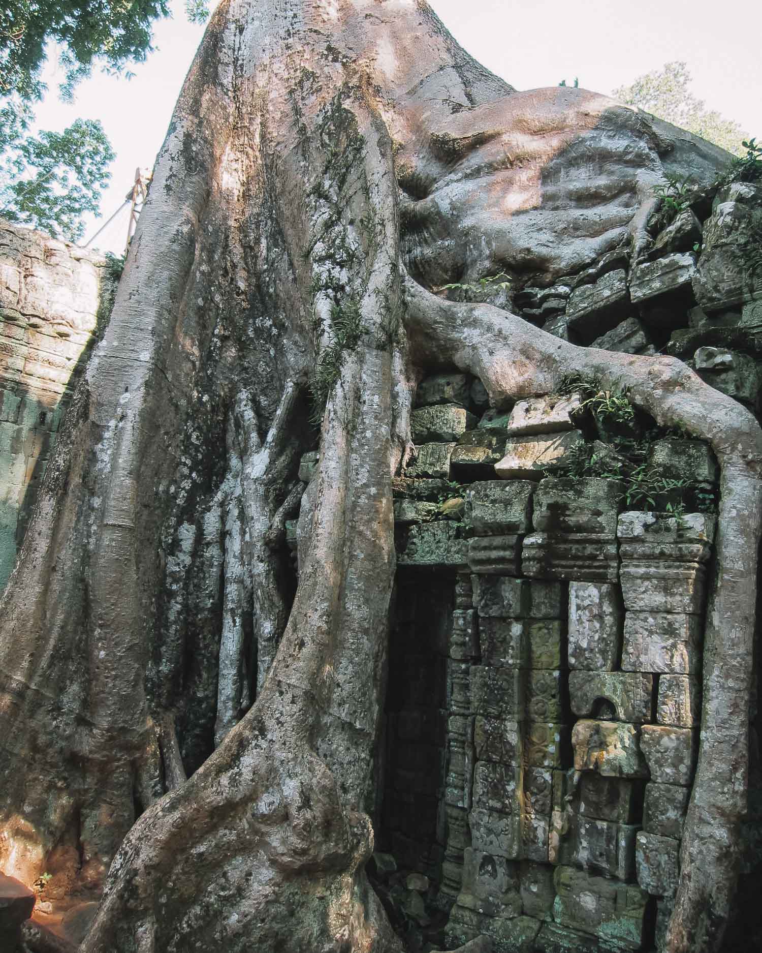 Ta Prohm