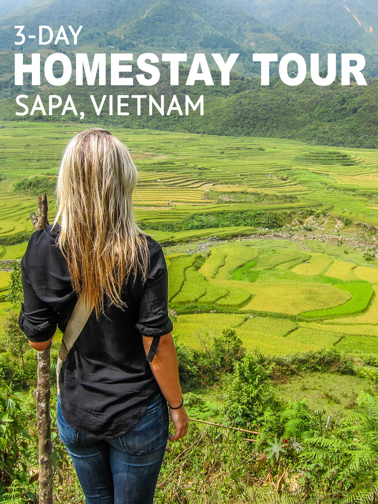 homestay travel tour