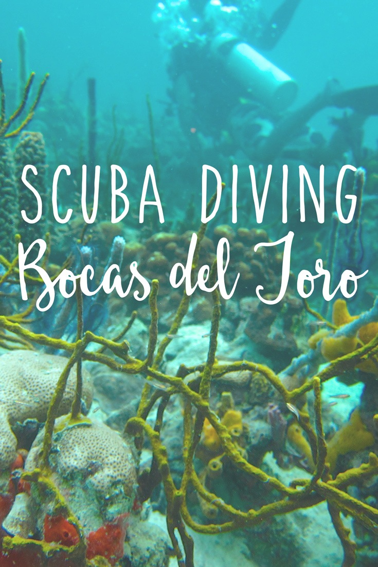 Scuba Diving in Bocas del Toro • The Blonde Abroad