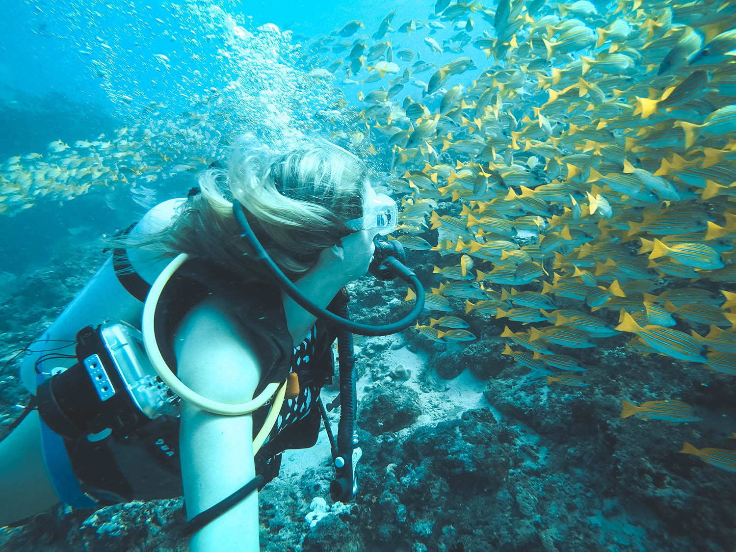 Blonde Girl Scuba Diving with Fish Ocean