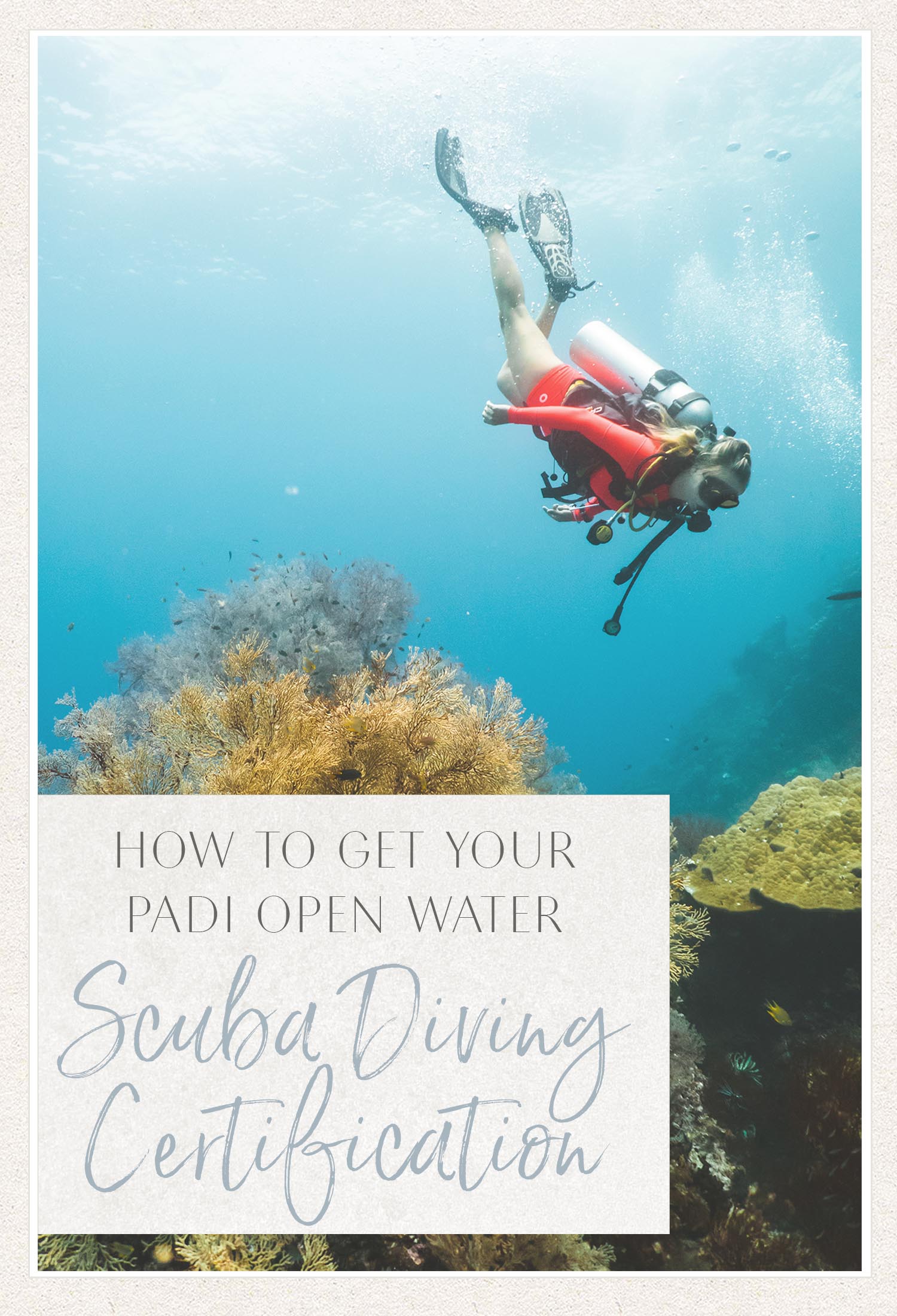 Padi Open Water Scuba Diving Certification How To 