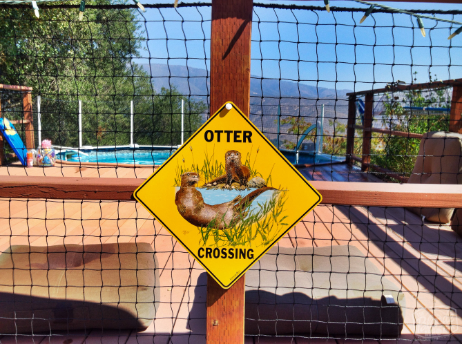 Otter Crossing
