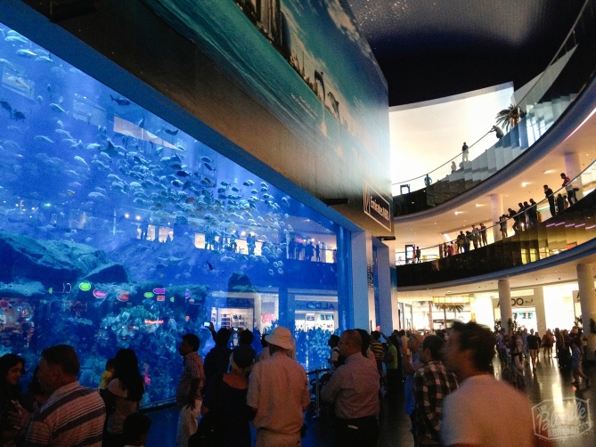 The Aquarium inside the Dubai Mall- the world's largest shopping mall