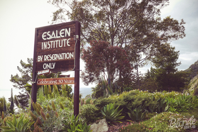 Esalen Institute