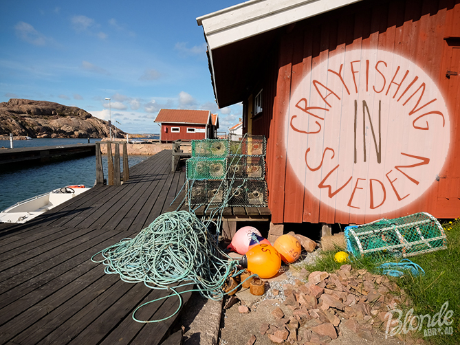 Crayfishing in Sweden