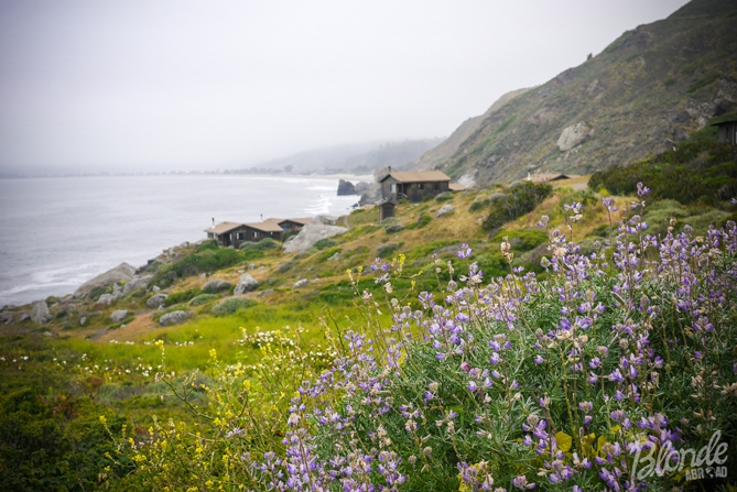 Fairytale Cabin Lodging In California The Blonde Abroad