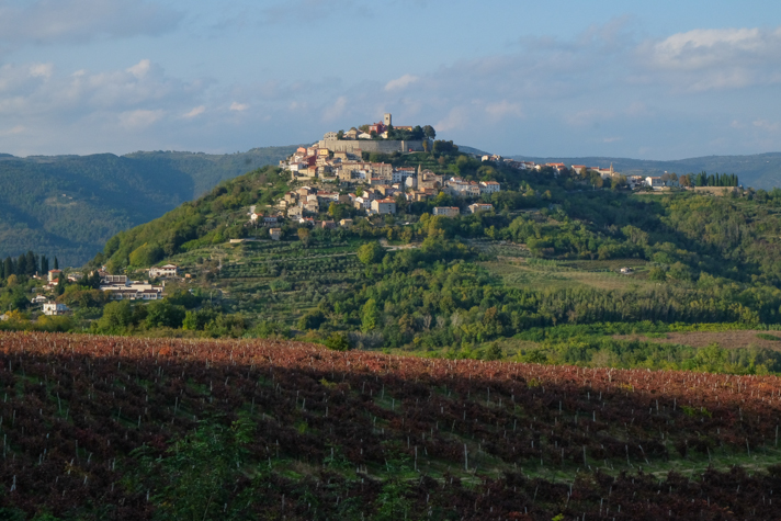 The hilltop city of Motovun
