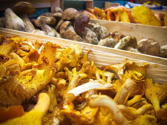 Mushrooms at Mercado de La Boqueria, Barcelona