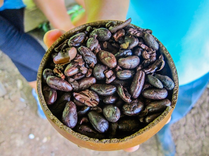 Roasted Cacao