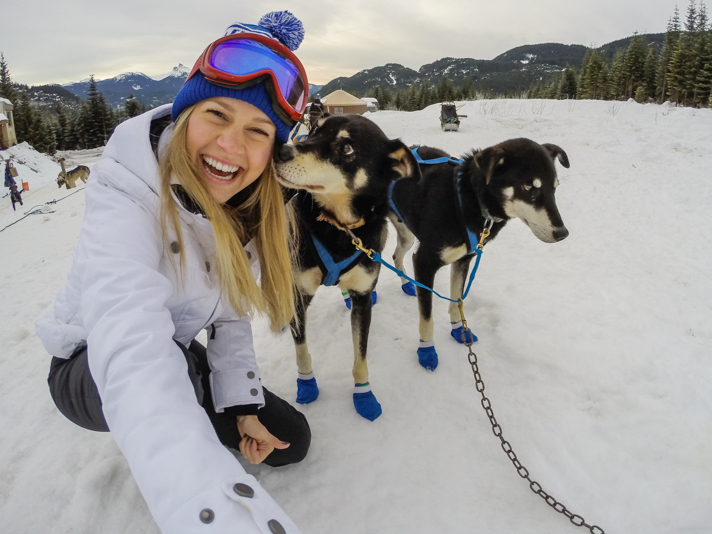 Dog Sledding Whistler