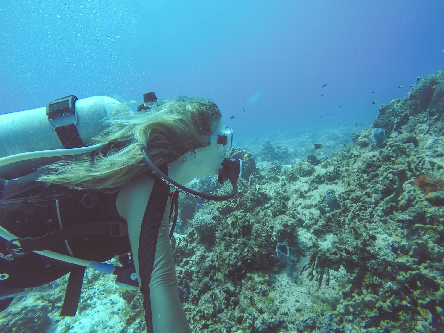 Blonde Scuba Diving