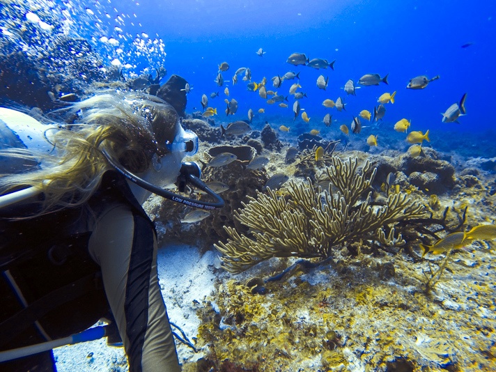 Diving in Cozumel