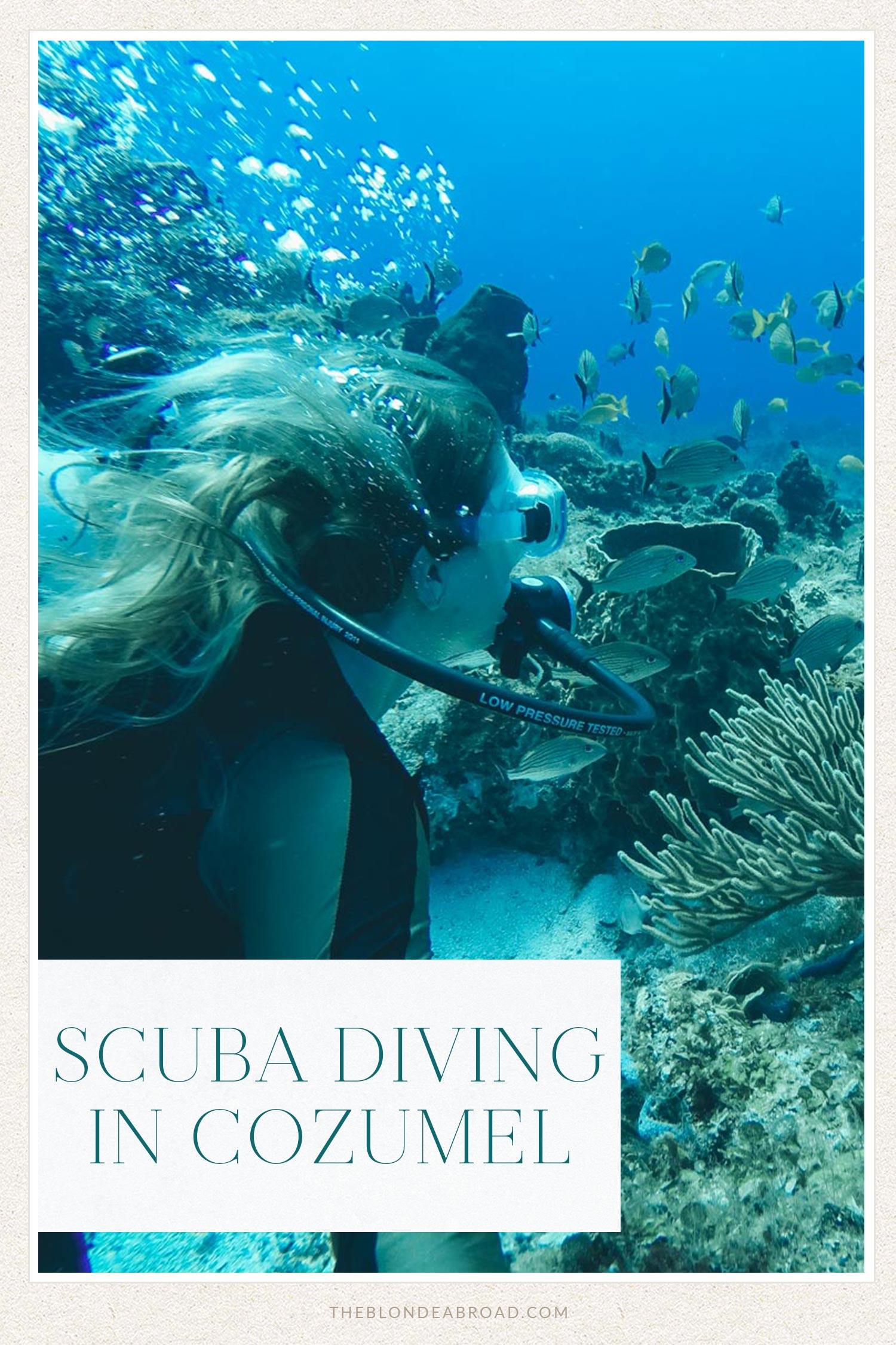 Scuba Diving in Cozumel with Scubatony • The Blonde Abroad