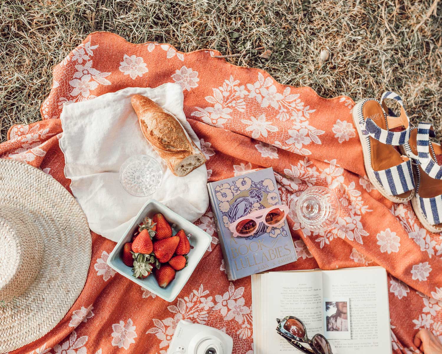 picnic spread in france