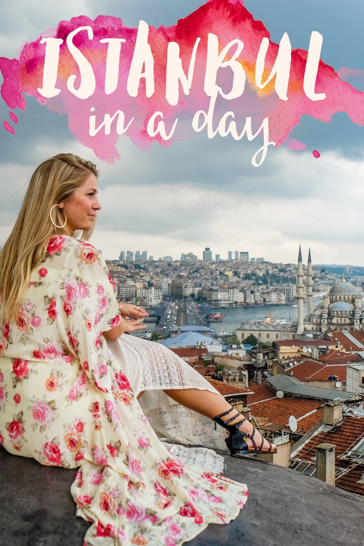 Istanbul in a Day with Walks of Turkey