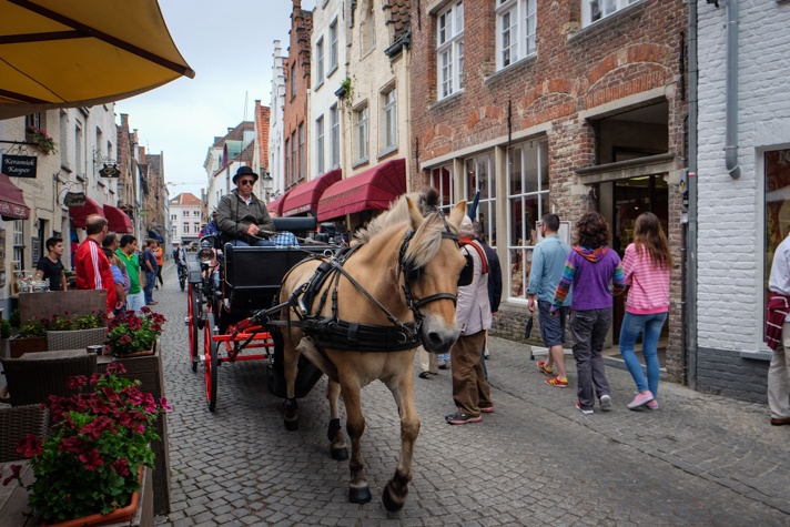 Horse in Bruges