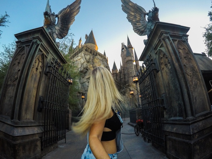 Wizarding World of Harry Potter Universal Studios Parks Scribbulus