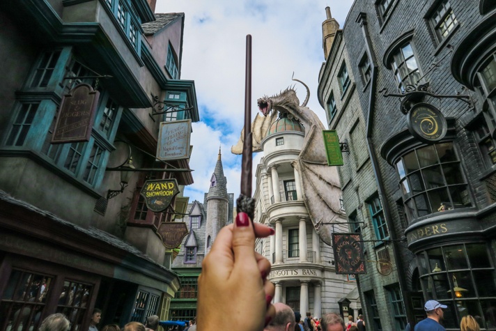 The Wizarding World of Harry Potter Diagon Alley