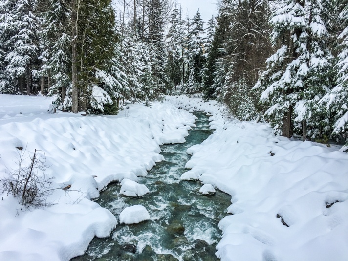 Whistler Snow