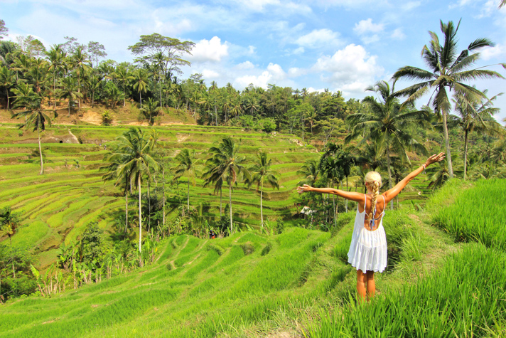 Jungle of Ubud