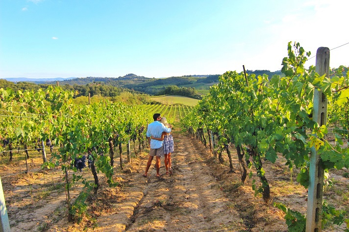 Wine Tasting in South of France