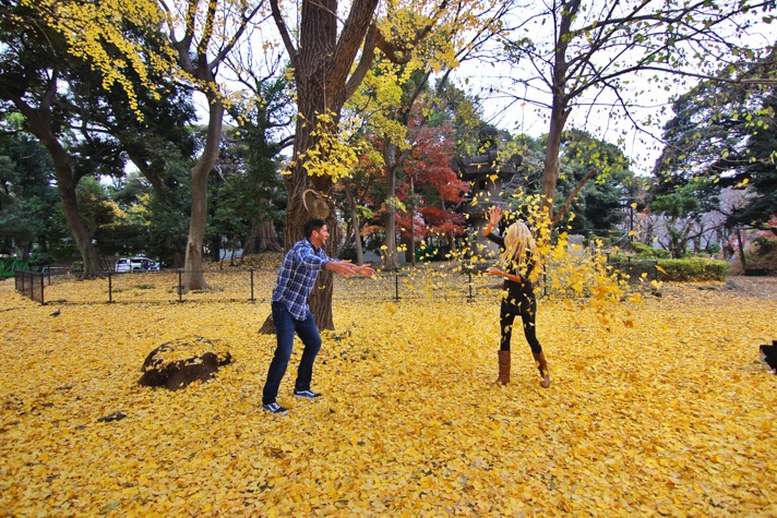 Leaf Fight