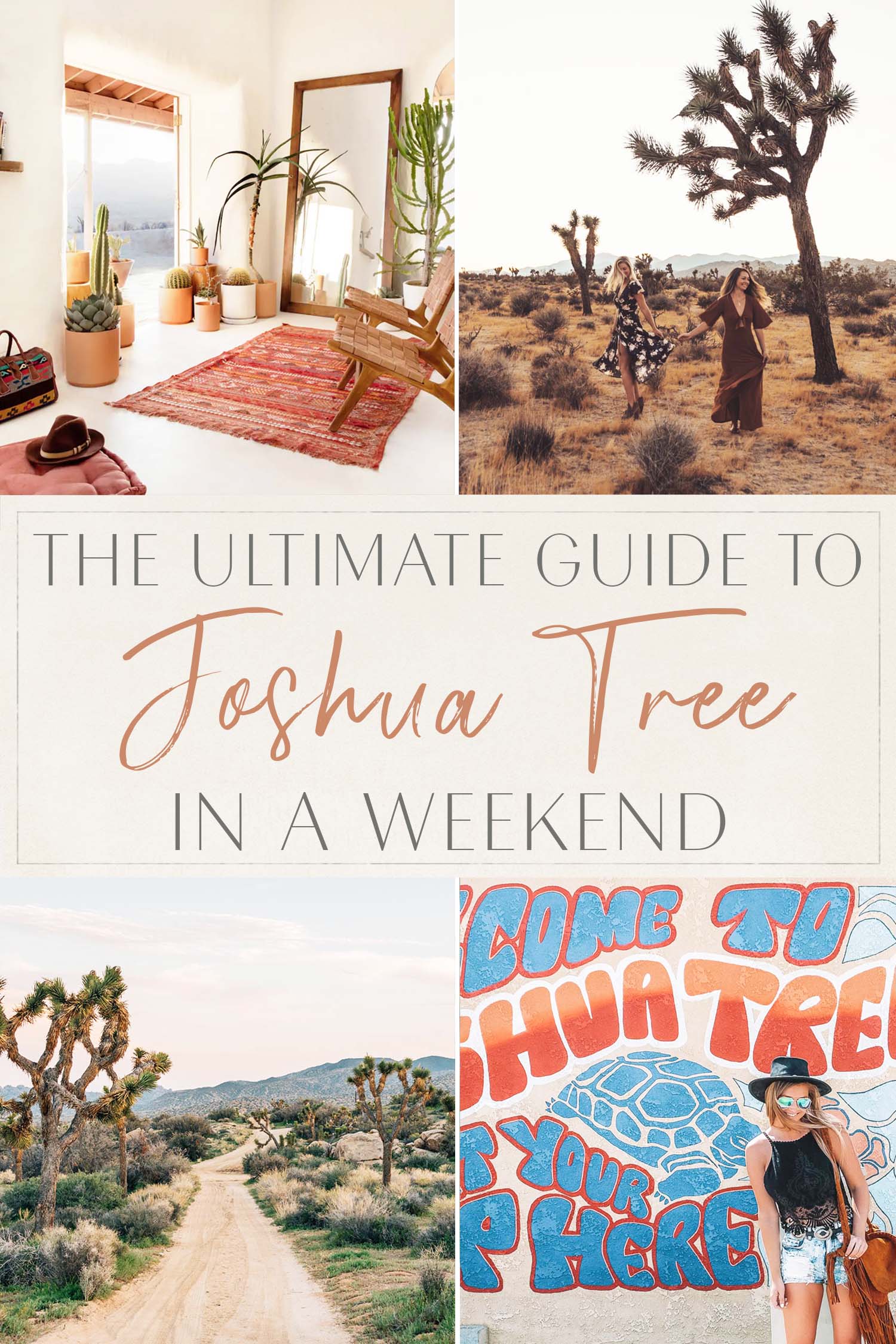 Ultimate Guide to Joshua Tree in a Weekend