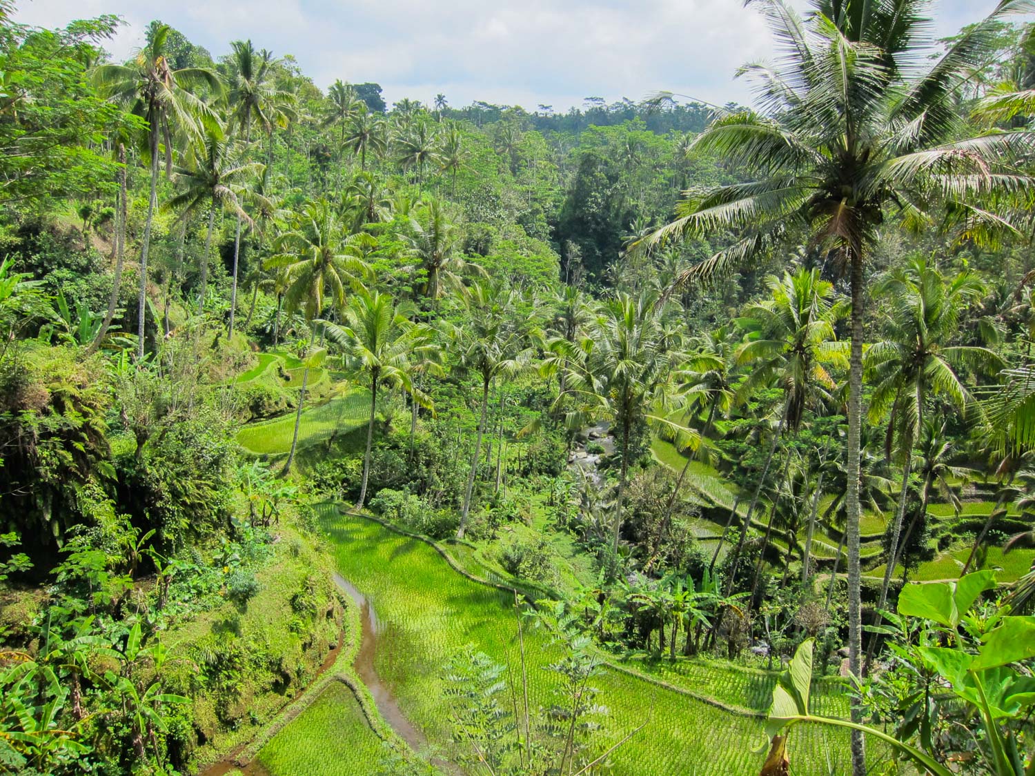 Bali