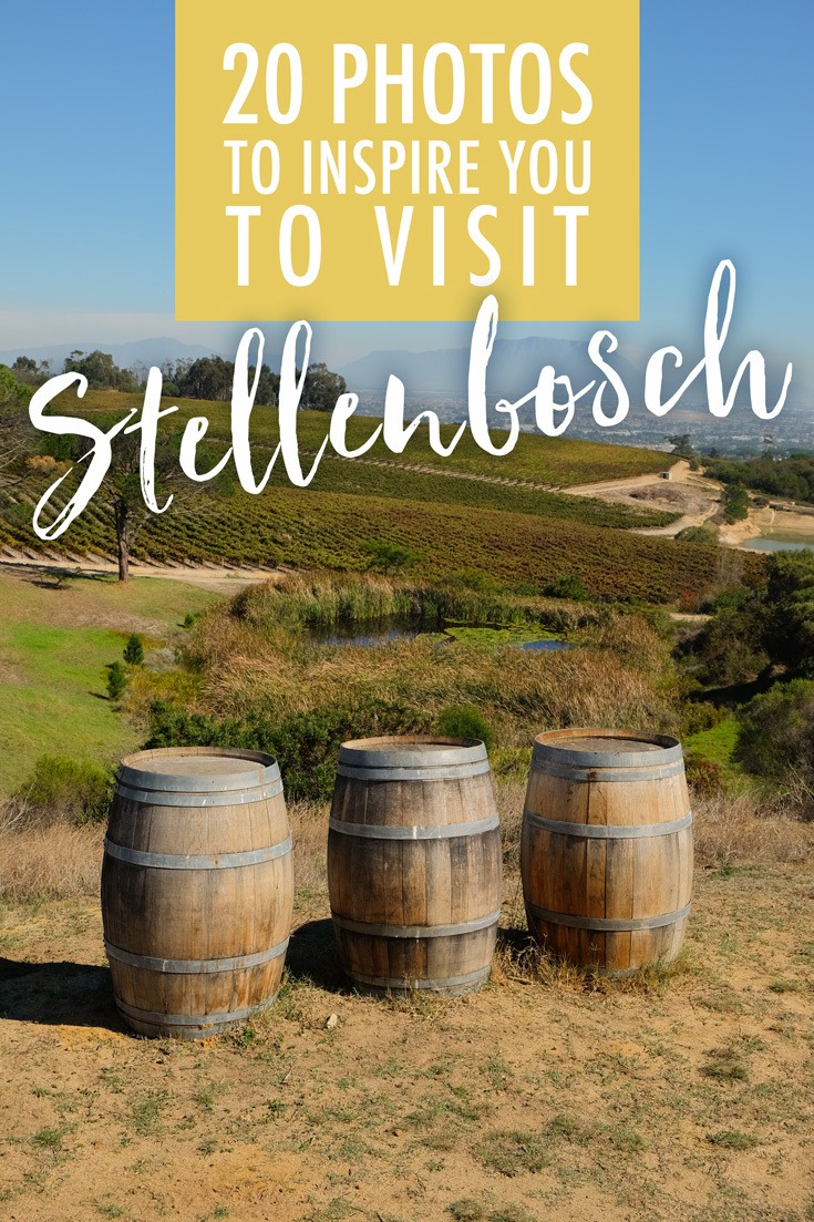 Visit Stellenbosch
