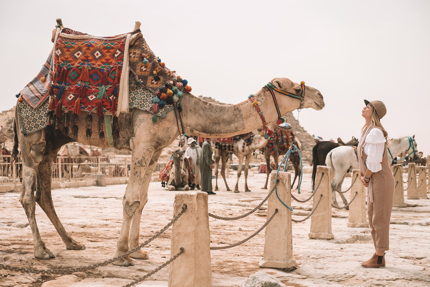 Kiersten Egypt Camel