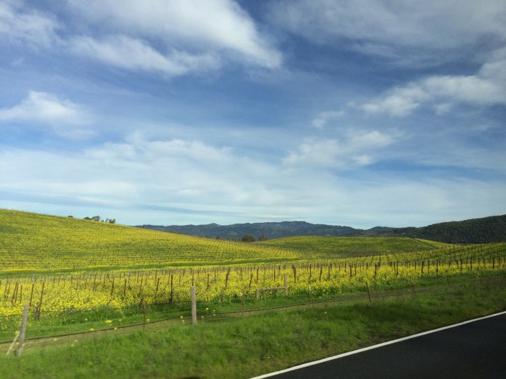 Napa Valley