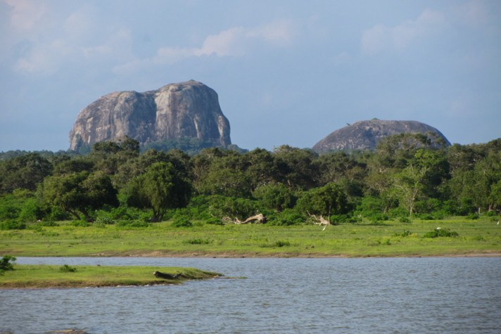 Yala National Park