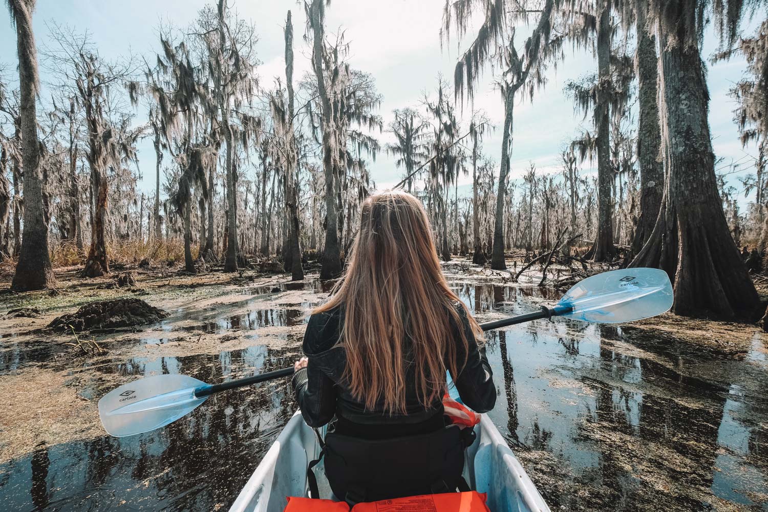 Louisiana Bayou