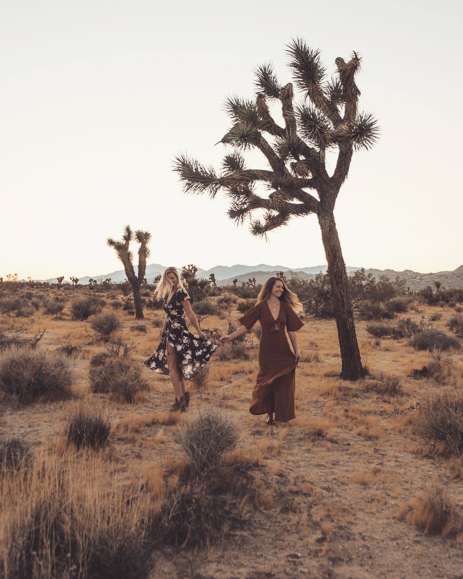 Meilleurs amis à Joshua Tree