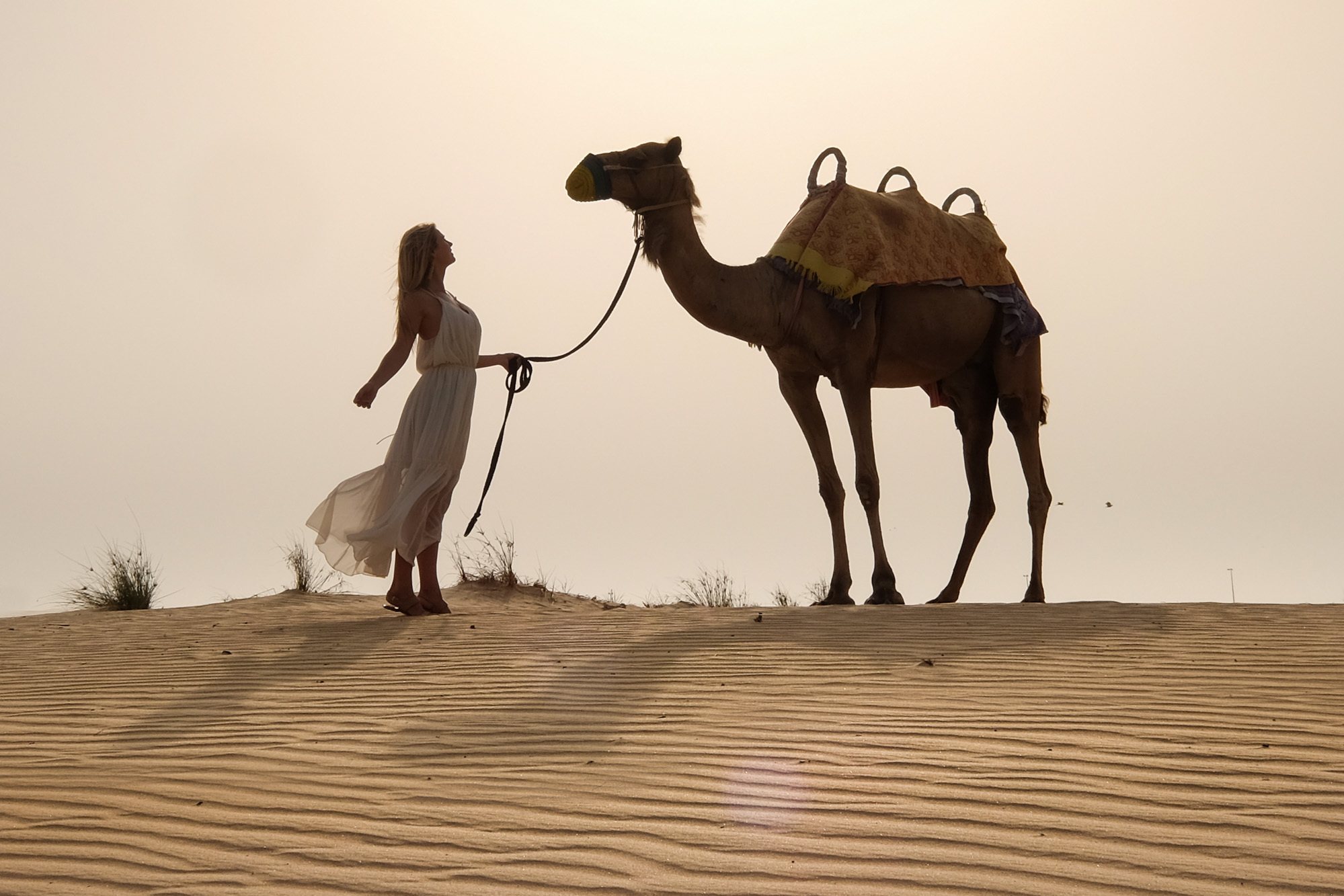 The Ultimate Dubai Travel Guide • The Blonde Abroad