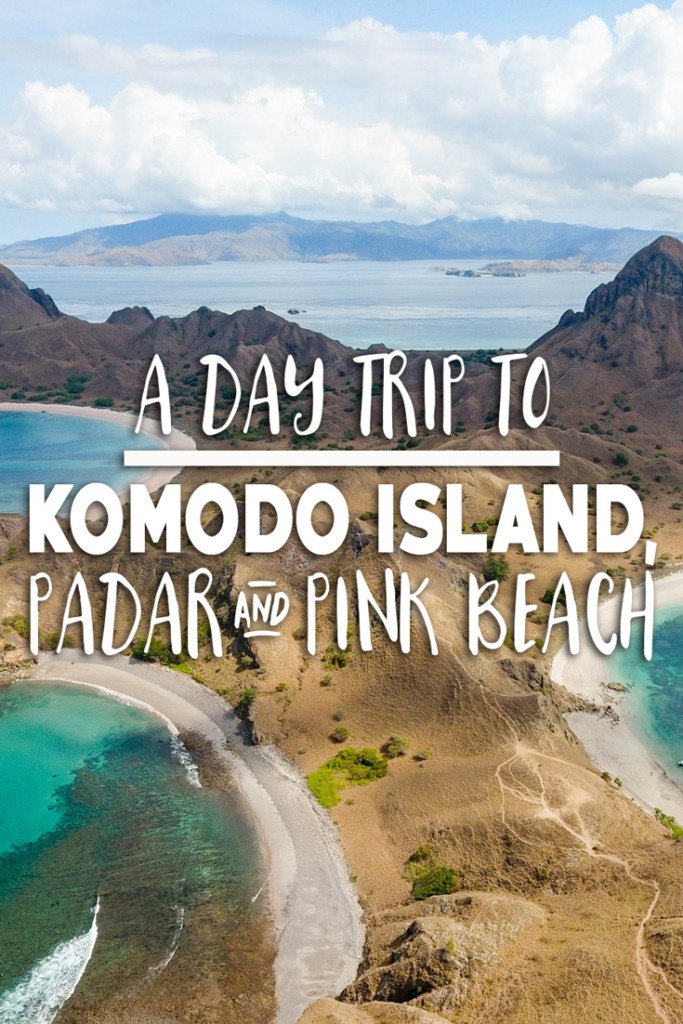 A Day Trip to Komodo Island, Padar and Pink Beach • The ...