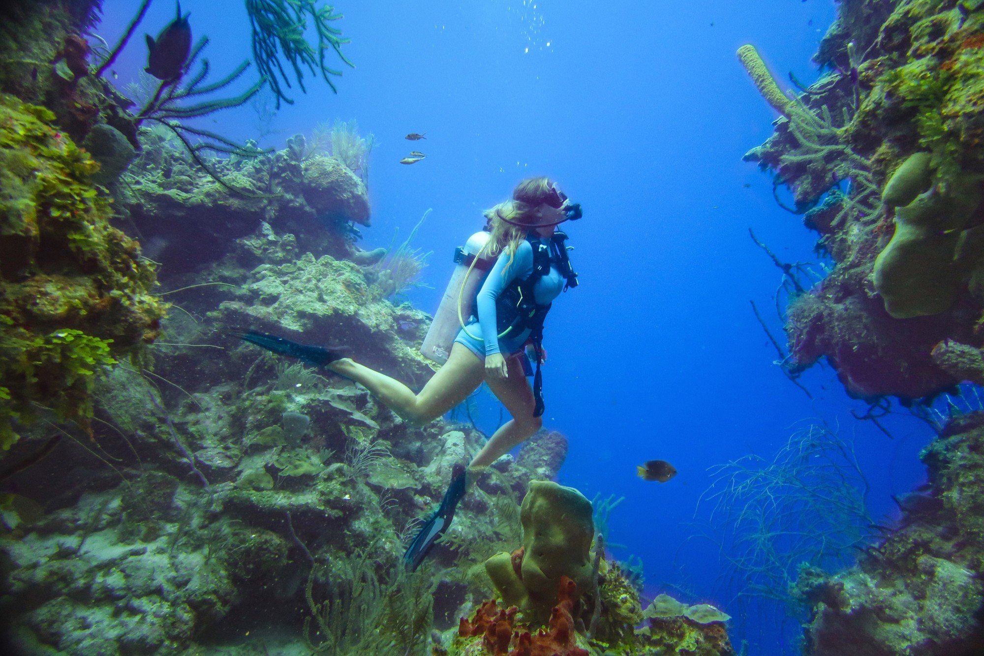 What it's Really Like to Dive the Great Blue Hole – Belize Adventure