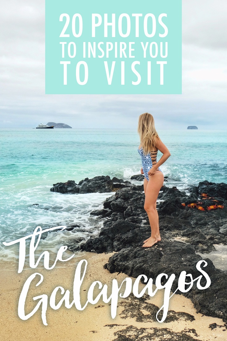 20 Photos to Inspire You to Visit The Galapagos